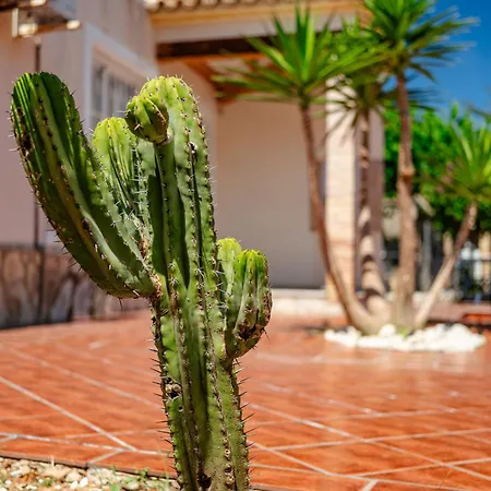 Harmonia By Interhome Vakantiehuis Dénia